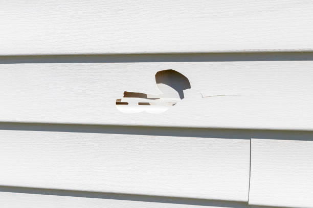 Affordable Siding Repair and Maintenance Services in Ancient Oaks, PA